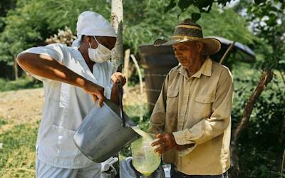Cultiver la terre pour faire germer la paix au Congo