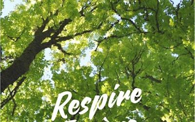 Respire, Espère