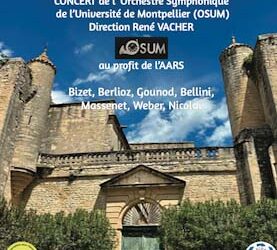 Des ouvertures de Bizet, Berlioz, Gounod, Bellini, Massent, Weber…