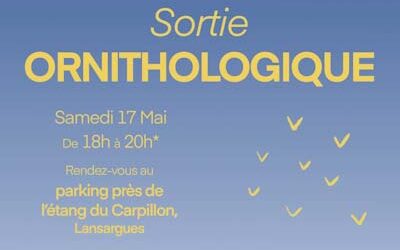 Sortie Ornithologique avec Eglise Verte 34 et A ROCHA