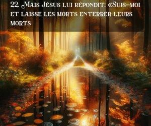 Laisse les morts enterrer leurs morts